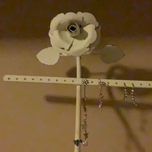 Earring display rack